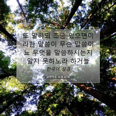 Picture 07 - 요한복음 16:18 KOR - 또 말하되 조금 있으면이라한 말씀이 - Bible Verse Picture