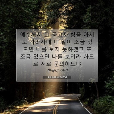 Picture 07 - 요한복음 16:19 KOR - 예수께서 그 묻고자 함을 아시고 - Bible Verse Picture