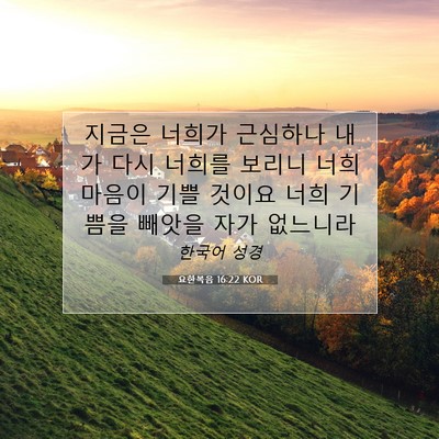Picture 07 - 요한복음 16:22 KOR - 지금은 너희가 근심하나 내가 다시 - Bible Verse Picture