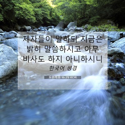 Picture 07 - 요한복음 16:29 KOR - 제자들이 말하되 지금은 밝히 - Bible Verse Picture