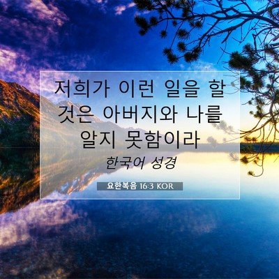 Picture 07 - 요한복음 16:3 KOR - 저희가 이런 일을 할 것은 아버지와 - Bible Verse Picture