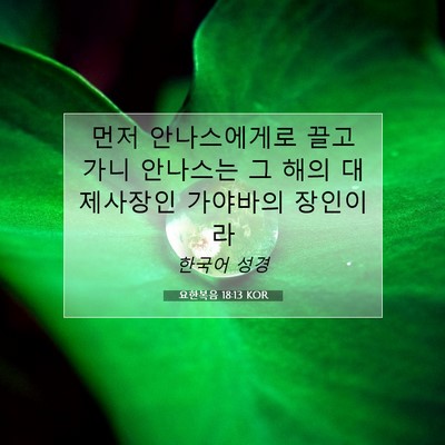Picture 07 - 요한복음 18:13 KOR - 먼저 안나스에게로 끌고 가니 - Bible Verse Picture