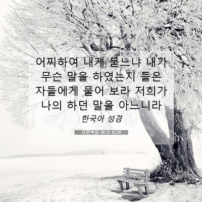 Picture 07 - 요한복음 18:21 KOR - 어찌하여 내게 묻느냐 내가 무슨 - Bible Verse Picture