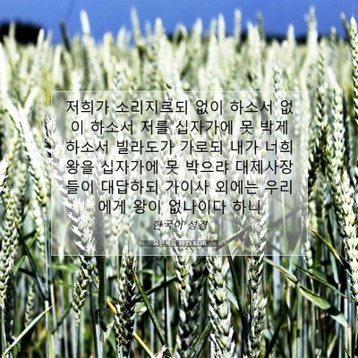 Picture 07 - 요한복음 19:15 KOR - 저희가 소리지르되 없이 하소서 없이 - Bible Verse Picture