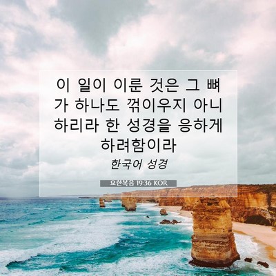 Picture 07 - 요한복음 19:36 KOR - 이 일이 이룬 것은 그 뼈가 하나도 - Bible Verse Picture
