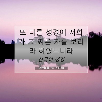 Picture 07 - 요한복음 19:37 KOR - 또 다른 성경에 저희가 그 찌른 자를 - Bible Verse Picture