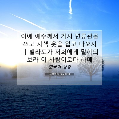 Picture 07 - 요한복음 19:5 KOR - 이에 예수께서 가시 면류관을 쓰고 - Bible Verse Picture