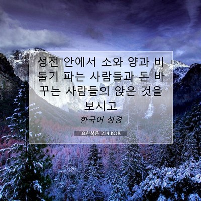 Picture 07 - 요한복음 2:14 KOR - 성전 안에서 소와 양과 비둘기 파는 - Bible Verse Picture