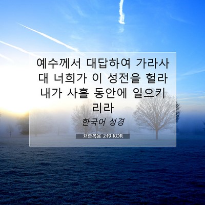 Picture 07 - 요한복음 2:19 KOR - 예수께서 대답하여 가라사대 너희가 - Bible Verse Picture