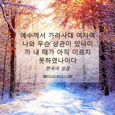 Picture 07 - 요한복음 2:4 KOR - 예수께서 가라사대 여자여 나와 무슨 - Bible Verse Picture