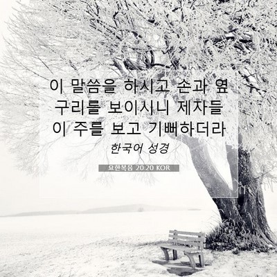 Picture 07 - 요한복음 20:20 KOR - 이 말씀을 하시고 손과 옆구리를 - Bible Verse Picture