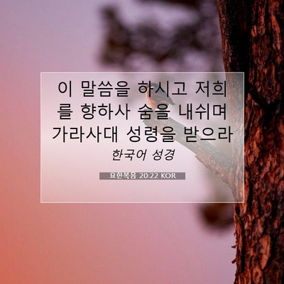 Picture 07 - 요한복음 20:22 KOR - 이 말씀을 하시고 저희를 향하사 - Bible Verse Picture