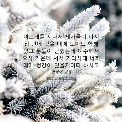 Picture 07 - 요한복음 20:26 KOR - 여드레를 지나서 제자들이 다시 집 - Bible Verse Picture