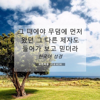 Picture 07 - 요한복음 20:8 KOR - 그 때에야 무덤에 먼저 왔던 그 다른 - Bible Verse Picture