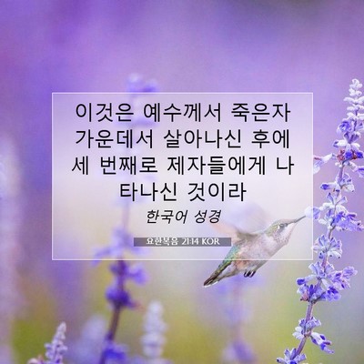 Picture 07 - 요한복음 21:14 KOR - 이것은 예수께서 죽은자 가운데서 - Bible Verse Picture