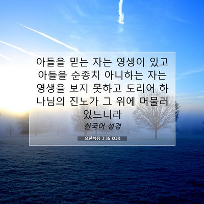 Picture 07 - 요한복음 3:36 KOR - 아들을 믿는 자는 영생이 있고 - Bible Verse Picture