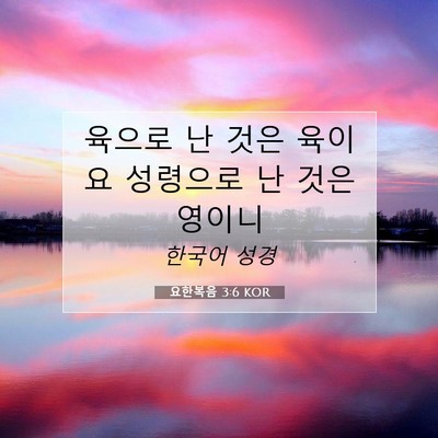 Picture 07 - 요한복음 3:6 KOR - 육으로 난 것은 육이요 성령으로 난 - Bible Verse Picture