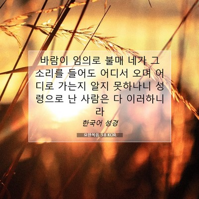 Picture 07 - 요한복음 3:8 KOR - 바람이 임의로 불매 네가 그 소리를 - Bible Verse Picture