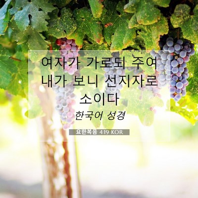 Picture 07 - 요한복음 4:19 KOR - 여자가 가로되 주여 내가 보니 - Bible Verse Picture
