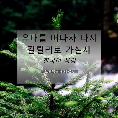 Picture 07 - 요한복음 4:3 KOR - 유대를 떠나사 다시 갈릴리로 - Bible Verse Picture