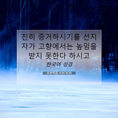 Picture 07 - 요한복음 4:44 KOR - 친히 증거하시기를 선지자가 - Bible Verse Picture