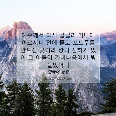 Picture 07 - 요한복음 4:46 KOR - 예수께서 다시 갈릴리 가나에 - Bible Verse Picture