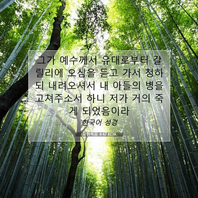 Picture 07 - 요한복음 4:47 KOR - 그가 예수께서 유대로부터 갈릴리에 - Bible Verse Picture