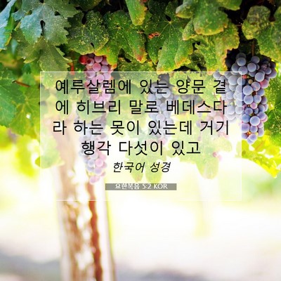 Picture 07 - 요한복음 5:2 KOR - 예루살렘에 있는 양문 곁에 히브리 - Bible Verse Picture