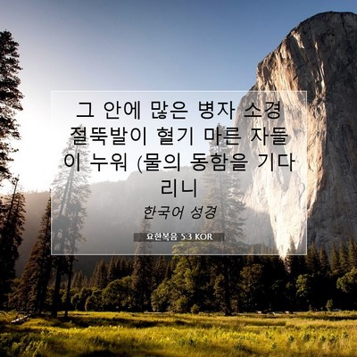 Picture 07 - 요한복음 5:3 KOR - 그 안에 많은 병자 소경 절뚝발이 - Bible Verse Picture