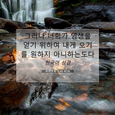 Picture 07 - 요한복음 5:40 KOR - 그러나 너희가 영생을 얻기 위하여 - Bible Verse Picture