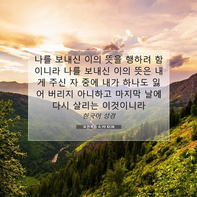 Picture 07 - 요한복음 6:39 KOR - 나를 보내신 이의 뜻을 행하려 - Bible Verse Picture