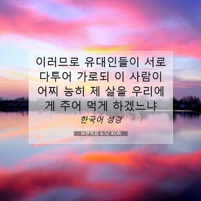Picture 07 - 요한복음 6:52 KOR - 이러므로 유대인들이 서로 다투어 - Bible Verse Picture
