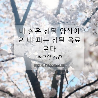 Picture 07 - 요한복음 6:55 KOR - 내 살은 참된 양식이요 내 피는 참된 - Bible Verse Picture