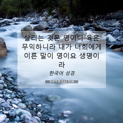 Picture 07 - 요한복음 6:63 KOR - 살리는 것은 영이니 육은 무익하니라 - Bible Verse Picture