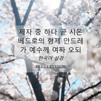 Picture 07 - 요한복음 6:8 KOR - 제자 중 하나 곧 시몬 베드로의 형제 - Bible Verse Picture