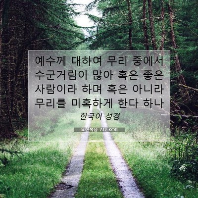 Picture 07 - 요한복음 7:12 KOR - 예수께 대하여 무리 중에서 - Bible Verse Picture
