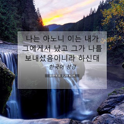 Picture 07 - 요한복음 7:29 KOR - 나는 아노니 이는 내가 그에게서 - Bible Verse Picture