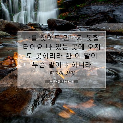 Picture 07 - 요한복음 7:36 KOR - 나를 찾아도 만나지 못할터이요 나 - Bible Verse Picture