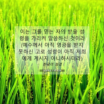 Picture 07 - 요한복음 7:39 KOR - 이는 그를 믿는 자의 받을 성령을 - Bible Verse Picture