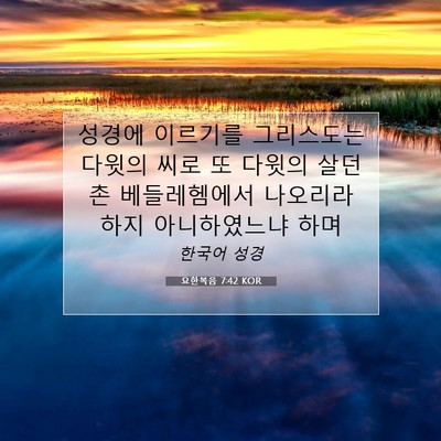 Picture 07 - 요한복음 7:42 KOR - 성경에 이르기를 그리스도는 다윗의 - Bible Verse Picture