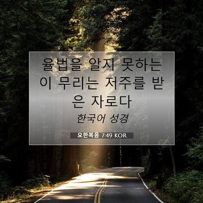 Picture 07 - 요한복음 7:49 KOR - 율법을 알지 못하는 이 무리는 - Bible Verse Picture