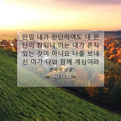 Picture 07 - 요한복음 8:16 KOR - 만일 내가 판단하여도 내 판단이 - Bible Verse Picture