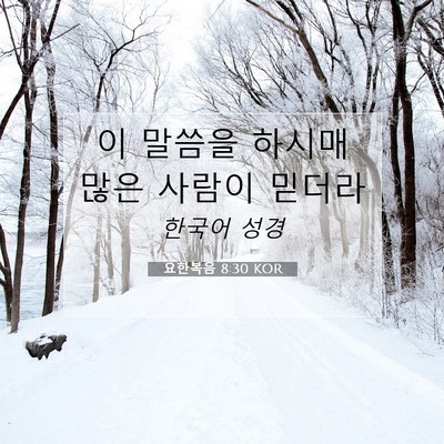 Picture 07 - 요한복음 8:30 KOR - 이 말씀을 하시매 많은 사람이 - Bible Verse Picture