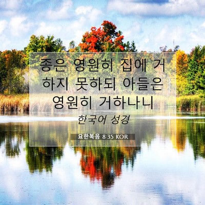 Picture 07 - 요한복음 8:35 KOR - 종은 영원히 집에 거하지 못하되 - Bible Verse Picture