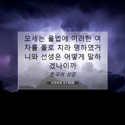 Picture 07 - 요한복음 8:5 KOR - 모세는 율법에 이러한 여자를 돌로 - Bible Verse Picture