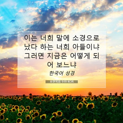 Picture 07 - 요한복음 9:19 KOR - 이는 너희 말에 소경으로 났다 하는 - Bible Verse Picture