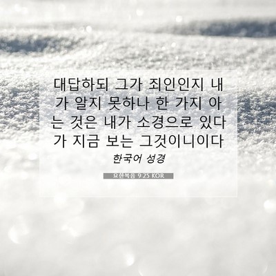 Picture 07 - 요한복음 9:25 KOR - 대답하되 그가 죄인인지 내가 알지 - Bible Verse Picture