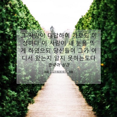 Picture 07 - 요한복음 9:30 KOR - 그 사람이 대답하여 가로되 이상하다 - Bible Verse Picture