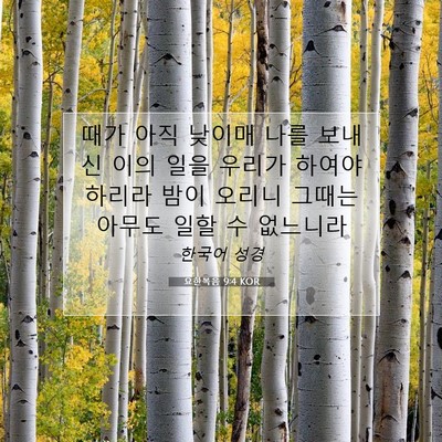 Picture 07 - 요한복음 9:4 KOR - 때가 아직 낮이매 나를 보내신 이의 - Bible Verse Picture