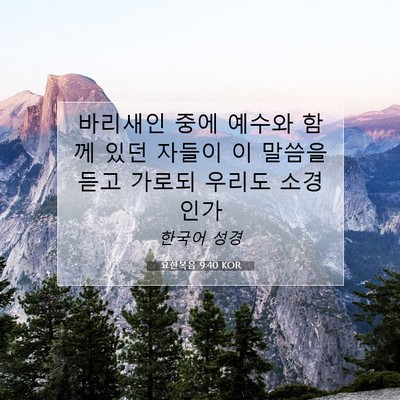 Picture 07 - 요한복음 9:40 KOR - 바리새인 중에 예수와 함께 있던 - Bible Verse Picture
